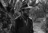 Фильм Сокровища Сьерра Мадре / The Treasure of the Sierra Madre (1948) - cцена 5