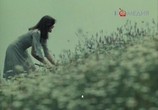 Фильм Бабочка (1977) - cцена 3
