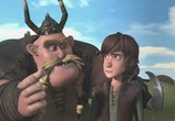 Мультфильм Драконы: Гонки бесстрашных. Начало / Dragons: Dawn of the Dragon Racers (2014) - cцена 4