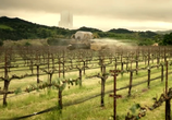 Сериал Звёздный путь: Пикар / Star Trek: Picard (2019) - cцена 4