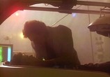 Фильм Ночной полёт / Nightflyers (1987) - cцена 7