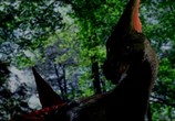 Фильм Воин / The One Warrior (2011) - cцена 1