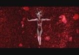 Фильм Красота по-американски / American Beauty (2000) - cцена 7