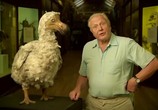 ТВ BBC: Мир природы. Ковчег сэра Аттенборо / BBC Natural World - Attenborough's Ark (2012) - cцена 3