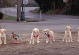 Фильм Рождественская пятерка / Santa Buddies (2009) - cцена 2
