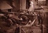 Фильм Волшебник страны Оз / Wizard of Oz (1939) - cцена 2
