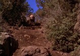 Фильм Дорога домой - Невероятное путешествие / Homeward Bound - The Incredible Journey (1993) - cцена 3