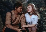 Фильм Огонь и стрела / The Flame and the Arrow (1950) - cцена 6
