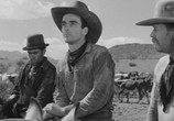 Фильм Красная река / Red River (1948) - cцена 2