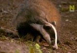 ТВ Уэльс: дикая земля / Wales: The Land of the Wild (2019) - cцена 7