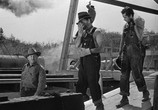 Фильм Сокровища Сьерра Мадре / The Treasure of the Sierra Madre (1948) - cцена 2