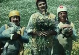 Фильм Бабочка (1977) - cцена 1