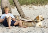 Фильм Марли и я / Marley & Me (2009) - cцена 5