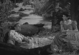 Фильм Когда Далтоны перешли черту / When the Daltons Rode (1940) - cцена 3