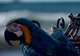 Фильм Приключения в Тридесятом царстве (2010) - cцена 6