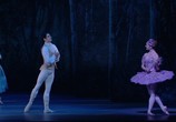 ТВ Пётр Ильич Чайковский: Спящая красавица / Tchaikovsky: Sleeping Beauty (2006) - cцена 2
