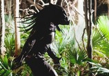 Фильм Хищники / Predators (2010) - cцена 1