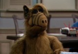 Сериал Альф / ALF (1986) - cцена 1
