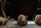 Фильм Джек – покоритель великанов / Jack the Giant Slayer (2013) - cцена 2