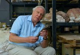 ТВ BBC. Аттенборо и гигантский динозавр / Attenborough and the Giant Dinosaur (2016) - cцена 1