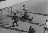 Фильм Юность мира / Jugend der Welt. Der Film von den IV. Olympischen Winterspielen in Garmisch-Partenkirchen (1936) - cцена 7