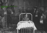 Фильм Пароходный Билл / Steamboat Bill, Jr. (1928) - cцена 4
