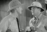 Фильм На линии огня / The Fighting Seabees (1944) - cцена 2