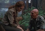 Фильм Парк Юрского периода 2: Затерянный мир / The Lost World: Jurassic Park (1997) - cцена 5