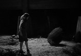 Фильм Человек-леопард / The Leopard Man (1943) - cцена 9