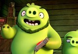 Мультфильм Angry Birds в кино / The Angry Birds Movie (2016) - cцена 3