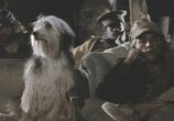 Фильм Парень и его пёс / A Boy And His Dog (1975) - cцена 6