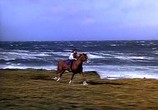 Фильм Национальный бархат / National Velvet (1944) - cцена 5