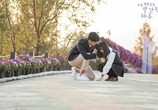Сериал Ха-ру, которого я встретила случайно / Eojjeoda balgyeonhan haru (2019) - cцена 6