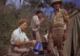 Фильм Копи царя Соломона / King Solomon's Mines  (1950) - cцена 1