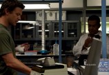 Сериал Болота / The Glades (2010) - cцена 5