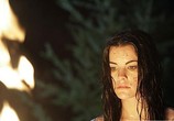 Сериал Кайл XY / Kyle XY (2006) - cцена 2