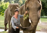 Фильм Жена смотрителя зоопарка / The Zookeeper's Wife (2017) - cцена 2