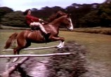 Фильм Национальный бархат / National Velvet (1944) - cцена 7