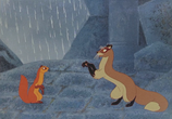 Мультфильм Рикки-Тикки-Тави (1965) - cцена 2