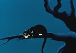 Сцена из фильма Сборник мультфильмов: Именины сердца-3 (2005) Сборник мультфильмов: Именины сердца - 3 DVDRip сцена 26