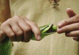 Фильм Пятеро друзей 3 / Fünf Freunde 3 (2014) - cцена 3