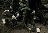 Фильм 100 дней в джунглях / 100 Days in the Jungle (2002) - cцена 3