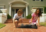 Фильм Пес-купидон / Gabe the Cupid Dog (2012) - cцена 3