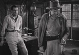 Фильм Только у ангелов есть крылья / Only Angels Have Wings (1939) - cцена 3