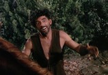 Фильм Огонь и стрела / The Flame and the Arrow (1950) - cцена 3