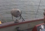 Фильм Челюсти / Jaws (1975) - cцена 5