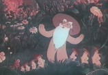 Сцена из фильма Сборник мультфильмов: Именины сердца-3 (2005) Сборник мультфильмов: Именины сердца - 3 DVDRip сцена 20