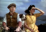 Фильм Национальный бархат / National Velvet (1944) - cцена 2