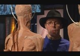 ТВ Анатомия для начинающих / Anatomy for Beginners (2005) - cцена 2
