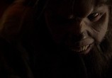 Сцена из фильма Выпущенный из клетки / Uncaged (2016) Выпущенный из клетки сцена 15